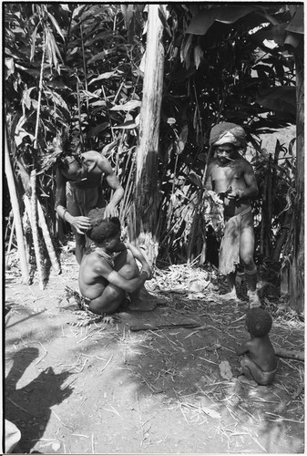 Pig festival, wig ritual, Tsembaga: man's hair is pulled over wig frame