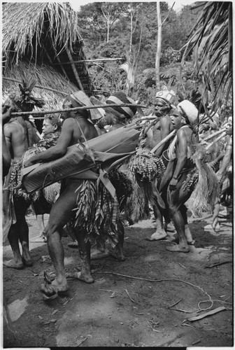 Pig festival, stake-planting, Tuguma: decorated men with stakes for enemy boundary, sing beside house