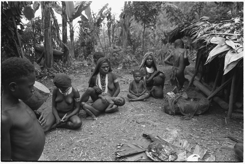 Pig festival, pig sacrifice, Tsembaga: women and children at ritual exchange of pork, shell valuables, steel axes, and other wealth