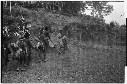 Pig festival, stake-planting, Tuguma: decorated men expel enemy spirits from dance ground with bespelled stakes and leaves