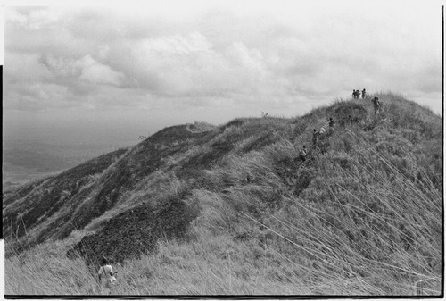 Schrader Range: carriers ascend grass-covered ridge