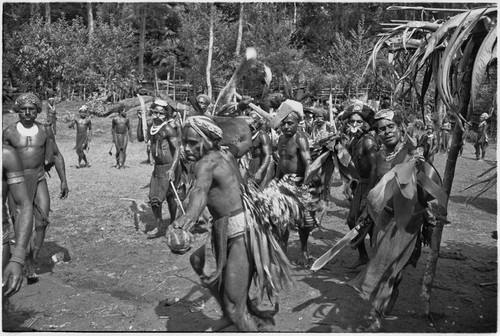 Pig festival, stake-planting, Tuguma: decorated men expel enemy spirits from residential area