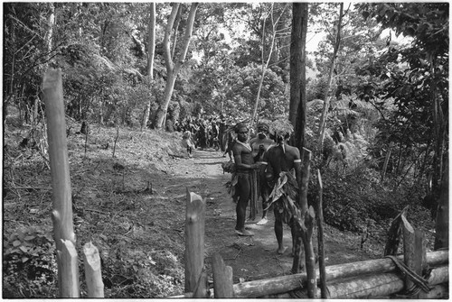 Pig festival, stake-planting, Tuguma: procession of Tuguma allies