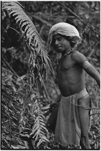 Hunting: in forest, Akis with length of vine and a machete