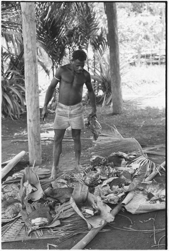 Ambaiat: distribution of pork from pig killed for damaging garden, portions in palm spathe containers