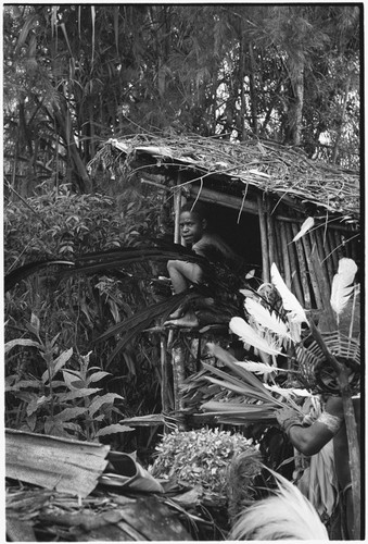 Pig festival, wig ritual, Tsembaga: feathers being added to a headdress, boy sits in elevated storage shelter by men's house