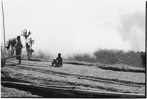 Atitau, Wanuma Census Division: carriers