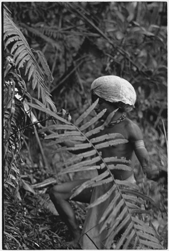 Hunting: in forest, Akis cuts ferns with machete