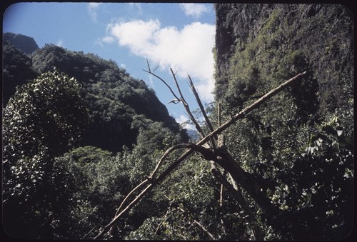 Orofere Valley, Tahiti: steep and nearly vertical walls