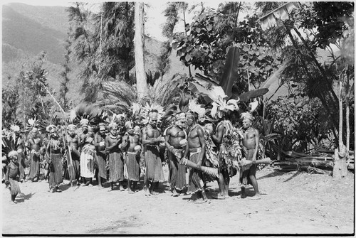 Pig festival, singsing, Kwiop: procession of decorated men on the dance ground