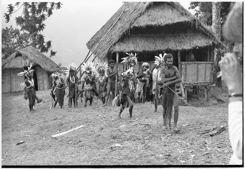 Pig festival, uprooting cordyline ritual, Tsembaga: decorated men and boys carry drums and weapons, near government rest house