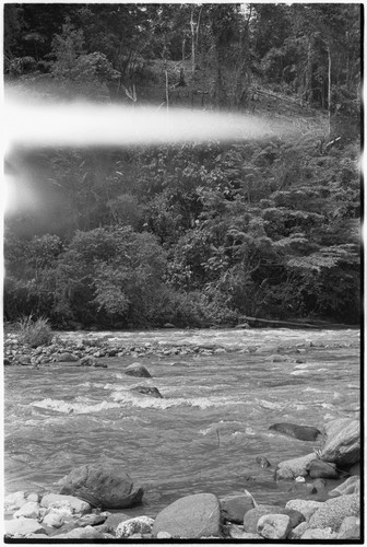 Simbai River Valley: large river and garden clearing