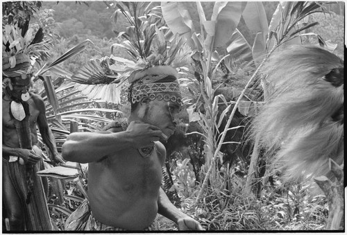 Pig festival, uprooting cordyline ritual, Tsembaga: decorated man applies face paint, man on left carries folded mat holder for feather valuables