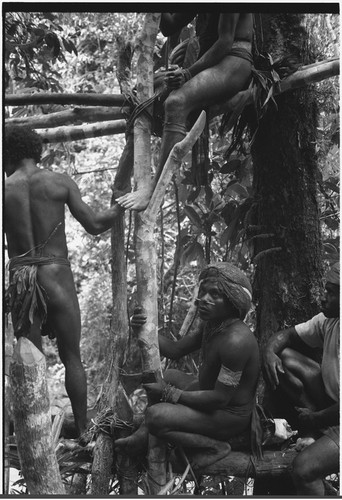 Bridge-building: men hold frame as it is lashed with vines