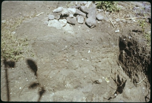 Vaiohu'a archaeological excavation, Moorea: southeast quadrant, east wall