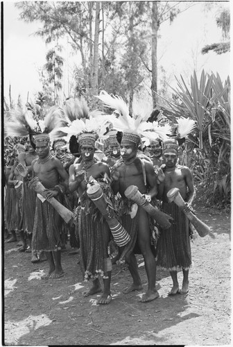 Pig festival, singsing, Kwiop: procession of decorated men with feather headdresses and kundu drums