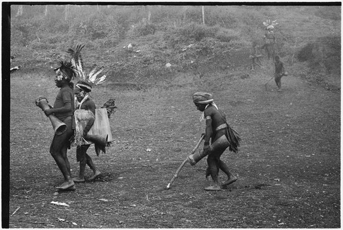 Pig festival, stake-planting, Tuguma: decorated men pierce dance ground to expel enemy spirits