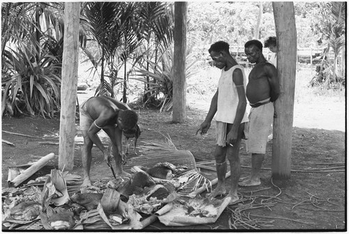 Ambaiat: distribution of pork from pig killed for damaging garden, owner (in shirt) supervises division