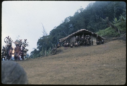 Pig festival, singsing, Tsembaga: Aundagai women by visitors' shelter observe dancing men