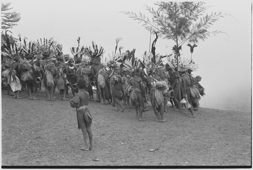 Pig festival, singsing, Tsembaga hosts Tsengamp: decorated men with kundu drums on dance ground