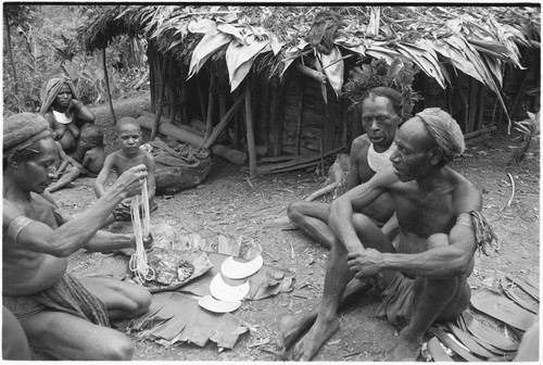 Pig festival, pig sacrifice, Tsembaga: in ritual exchange, man presents pork, shell valuables,and beads to allies