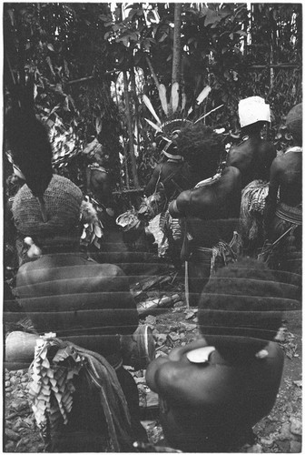 Pig festival, pig sacrifice, Tsembaga: decorated men present packets of salted pork to allies, thorugh small opening in ritual fence