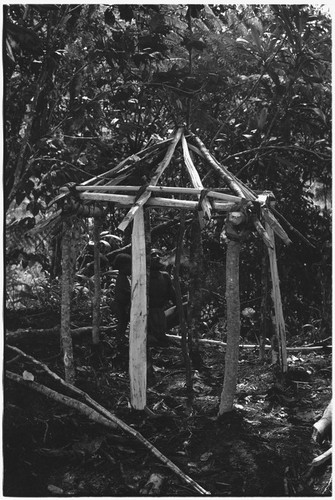 Pig festival, pig sacrifice: frame for sacrifice house in ancestral shrine