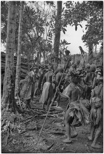 Pig festival, stake-planting, Tuguma: decorated and armed men join procession to establish enemy boundary