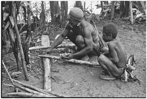 Pig festival, stake-planting, Tuguma: man applies substance from small packet to sharpened stakes