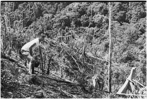 Sengru-Sengru, Wanuma Census Division: Pete Vayda in slash-and-burn garden clearing