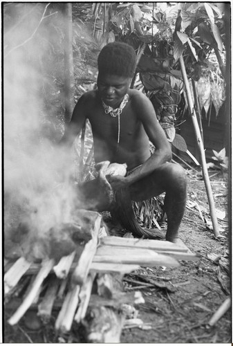 Pig festival, wig ritual, Tsembaga: adolescent boy holds plucked chicken, fire heats cooking stones for elevated oven (in background)