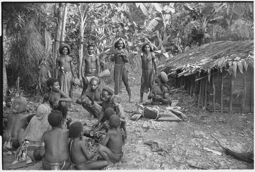 Distribution of wild pig meat: Tomegai and Kwibigai clans feast on pork, men in background sing and play drums