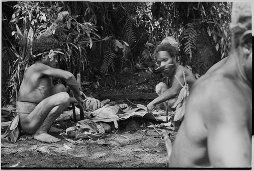 Pig festival, uprooting cordyline ritual, Tsembaga: display of shell valuables at sacrifice of female pig to spirits of high ground