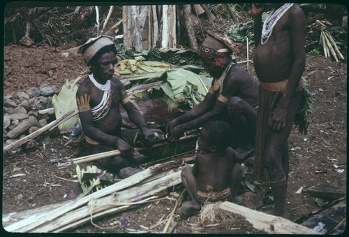 Pig festival, pig sacrifice, Torpai: men tie a small pig to poles