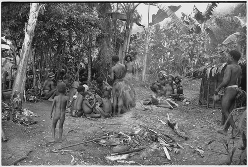 Distribution of wild pig meat: Tomegai and Kwibigai clans feast on pork