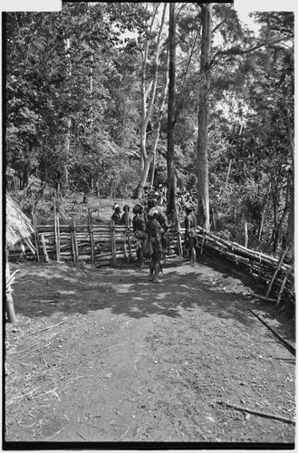 Pig festival, stake-planting, Tuguma: decorated men inside house fence