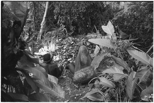 Pig festival, pig sacrifice, Tsembaga: people beside large pile of yams, pitpit, greens and other food