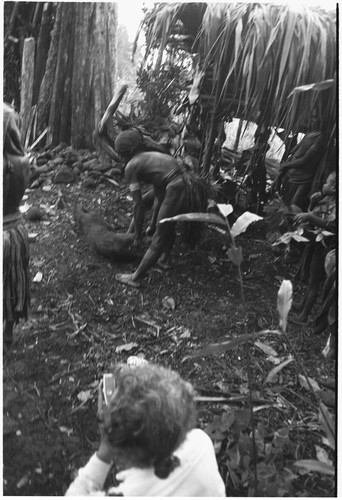 Pig festival, pig sacrifice, Tsembaga: in ancestral shrine, pig is killed in sacrifice to spirits of the low ground, Marek Jablonko films