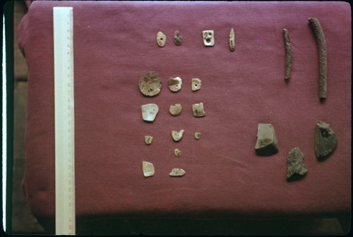 Shell and stone fishing weights and other artifacts, Moorea