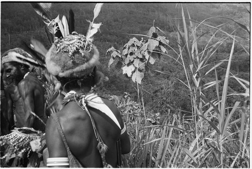 Pig festival, pig sacrifice, Tsembaga: end of festival, men, one with hornbill ornament, shout in direction of enemy territory