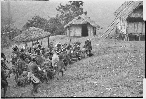 Pig festival, uprooting cordyline ritual, Tsembaga: men make stylized aggressive charge in front of government rest house, near clan boundary