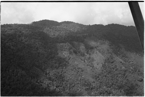 Adelbert Range: aerial view of mountain