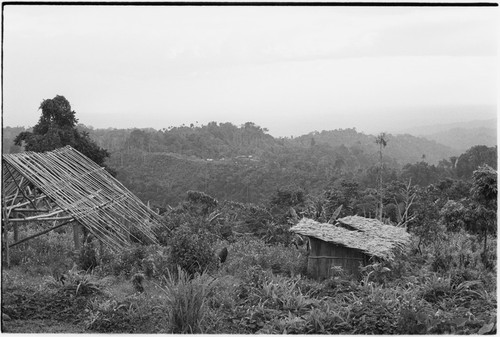 Wanuma: frame of house being built, Lutheran mission and government buildings in distance