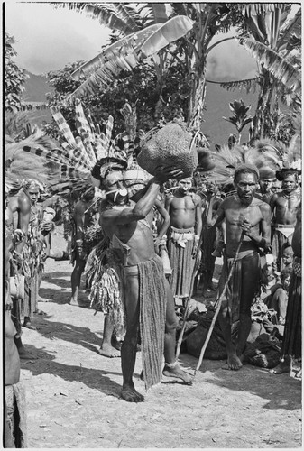 Pig festival, singsing, Kwiop: decorated host presents netbag of food for visiting phratry