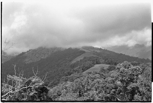 Schrader Range: Fainjur in distance, with forest and clearings