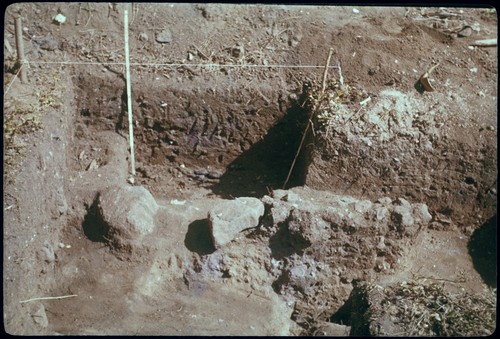 Vaiohu'a archaeological excavation, Moorea: west wall, bulk of southwest quadrant