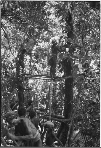 Bridge-building: men construct bridge frame of forest materials