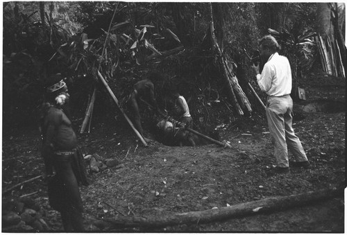 Pig festival, pig sacrifice, Tsembaga: men place butchered pork (tied to pole) over a pit, filmed by Marek Jablonko