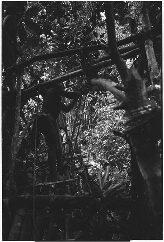 Bridge-building: man walks on newly finished bridge