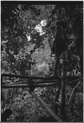 Bridge-building: man stands on railing of newly constructed bridge